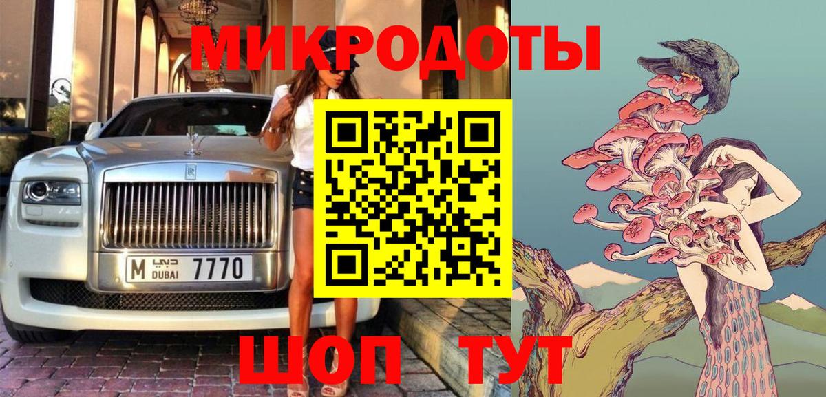 Галлюциногенные грибы прущие грибы Славянск-на-Кубани