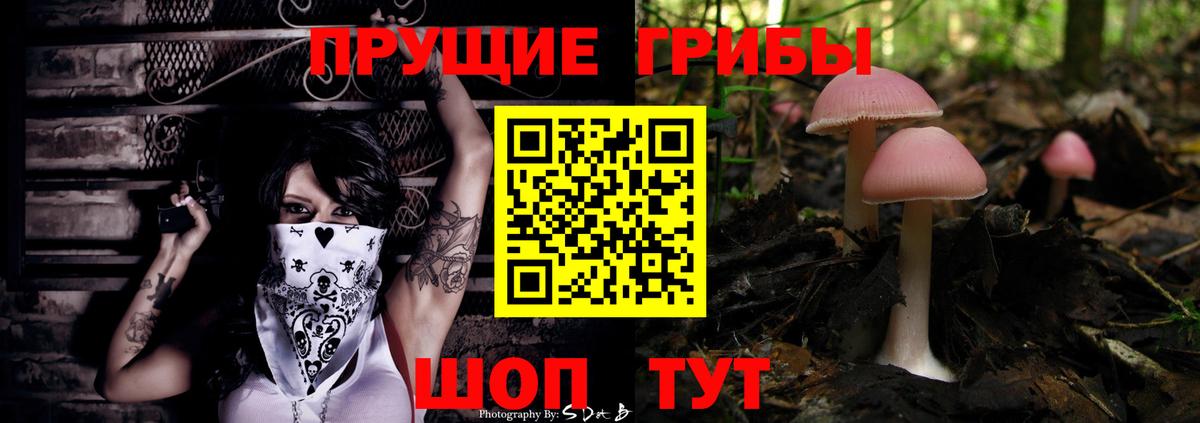 Славянск-на-Кубани  Галлюциногенные грибы прущие грибы  Вход с VPN  Галлюциногенные грибы мухоморы 